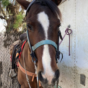 Meet your Posher, Roberto